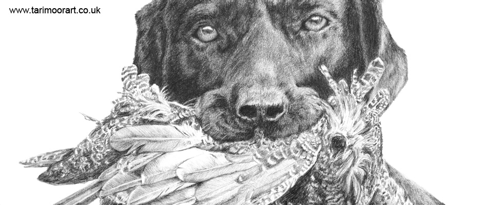 The First Grouse by Joanne Elrod of Tarimoor Art - www.tarimoorart.co.uk