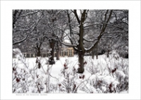 Winter at the Botanic Gardens Farrow Spec