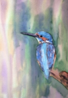 Kingfisher