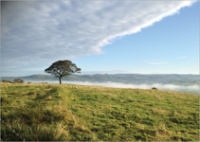 Fiona Jane Brocklehurst