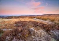 frosted-heather-curbar-0418GC